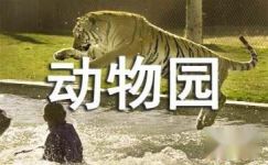 小老虎历险记离开动物园读后感350字