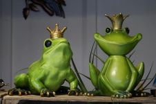 青蛙王子读后感5篇