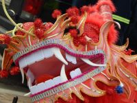 《中国传统节日故事》的读后感400字