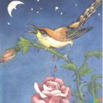 王尔德《夜莺与玫瑰》读后感五篇